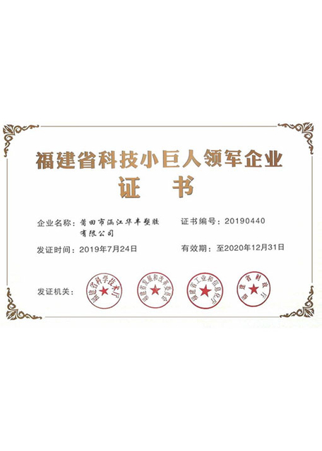 Empresa líder de ciencia y tecnología de Fujian, Little Giant